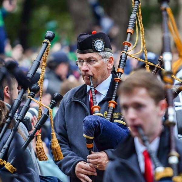 dom piping